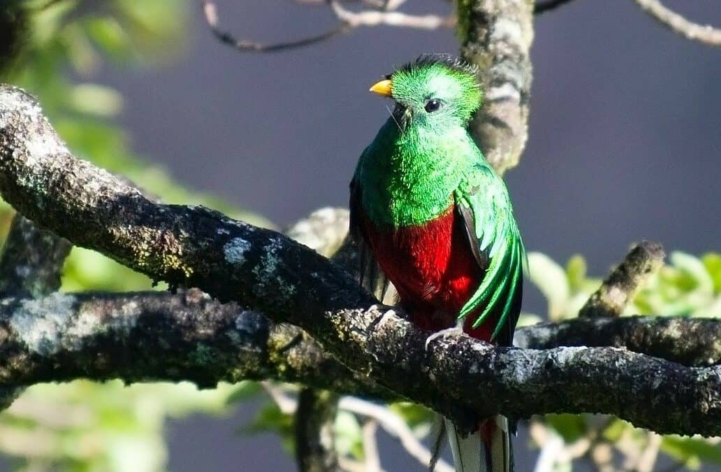 Hidden Natural Wonders of Costa Rica