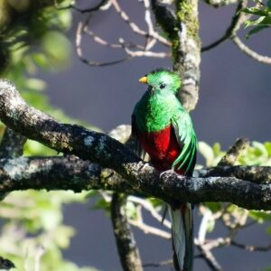 Hidden Natural Wonders of Costa Rica