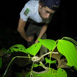 Teenage boy observing a snake during a night walk in Costa Rica