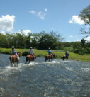 a multigenerational family horseback riding through a river in Costa Rica