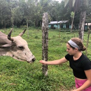 Teenage girl feeding a cow during a custom Costa Rica vacation