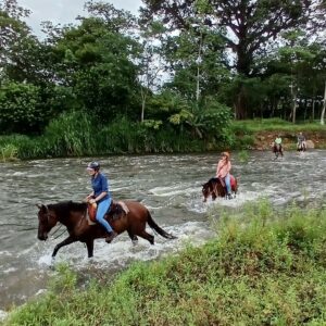 Family horseback riding through a river in Costa Rica